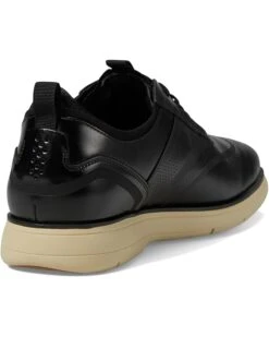 Stacy Adams Edgewood Wing Tip Elastic Lace | Sneakers & Athletic Shoes -Stacy Adams & Stride Rite Sales 61pqu11PtFL. AC SR736920