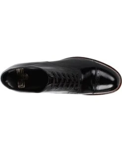 Stacy Adams Madison (Cap Toe) | Oxfords -Stacy Adams & Stride Rite Sales 71579ancneL. AC SR736920