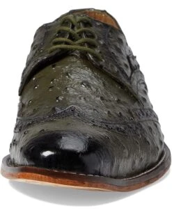 Stacy Adams Gennaro Wing Tip Oxford | Oxfords -Stacy Adams & Stride Rite Sales 71RK175yipL. AC SR736920