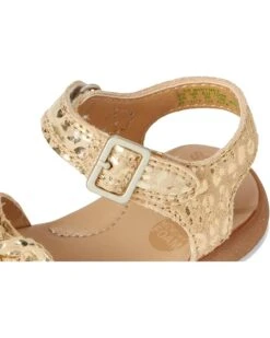 Stride Rite SR Whitney (Toddler) | Sandals -Stacy Adams & Stride Rite Sales 71dmzF0d9mL. AC SR736920