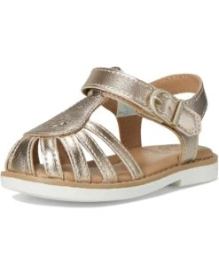 Stride Rite SR Renee (Toddler/Little Kid) | Sandals -Stacy Adams & Stride Rite Sales 71tpCbK0d6L. AC SR736920