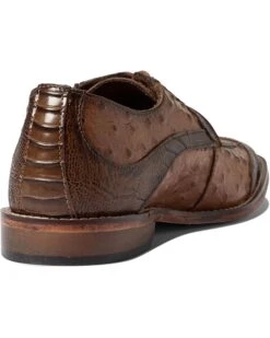 Stacy Adams Fanelli Wing Tip Oxford | Oxfords 12 Stacy Adams Fanelli Wing Tip Oxford | Oxfords -Stacy Adams & Stride Rite Sales 71vQK4VrqgL. AC SR736920