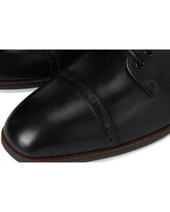 Stacy Adams William Cap Toe Lace-Up | Oxfords 18 Stacy Adams William Cap Toe Lace-Up | Oxfords -Stacy Adams & Stride Rite Sales 810mcHZQOFL. AC SR736920