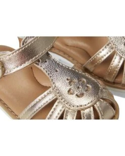 Stride Rite SR Renee (Toddler/Little Kid) | Sandals -Stacy Adams & Stride Rite Sales 81TGK3RPd6L. AC SR736920